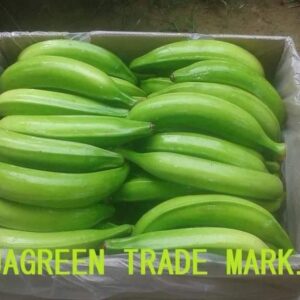 Raíces y tubérculos congelados