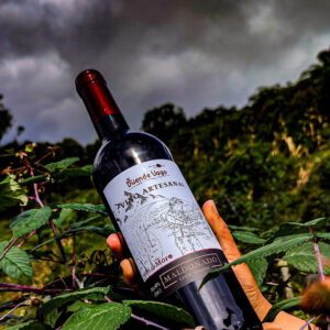 Vino y licor de frutas silvestres